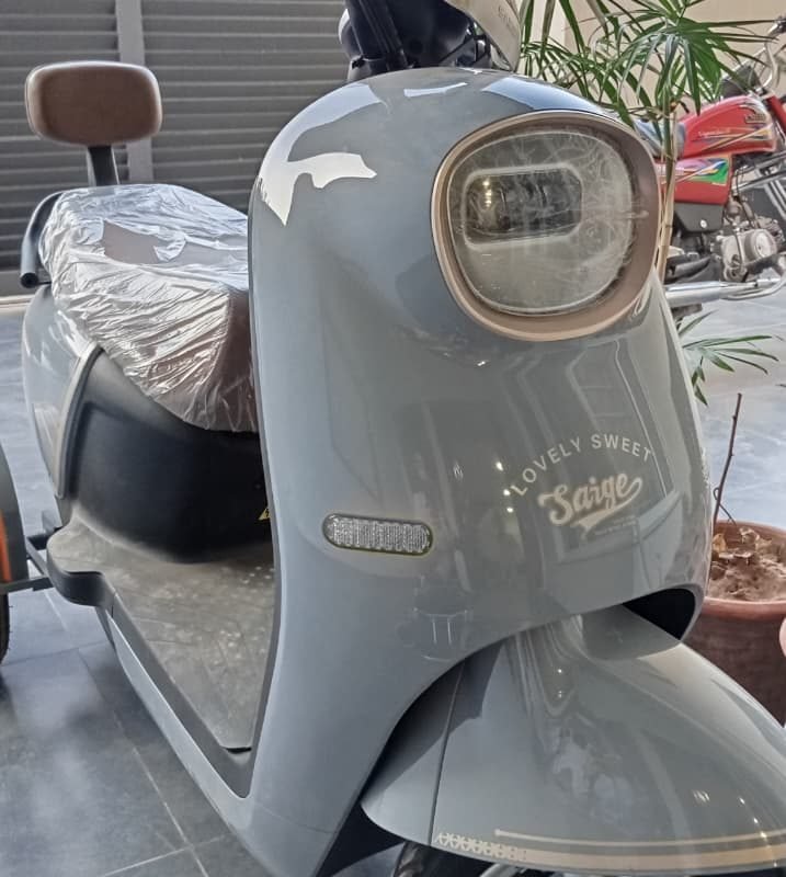 Siage 3 Wheel Electric Bike – Premium Model